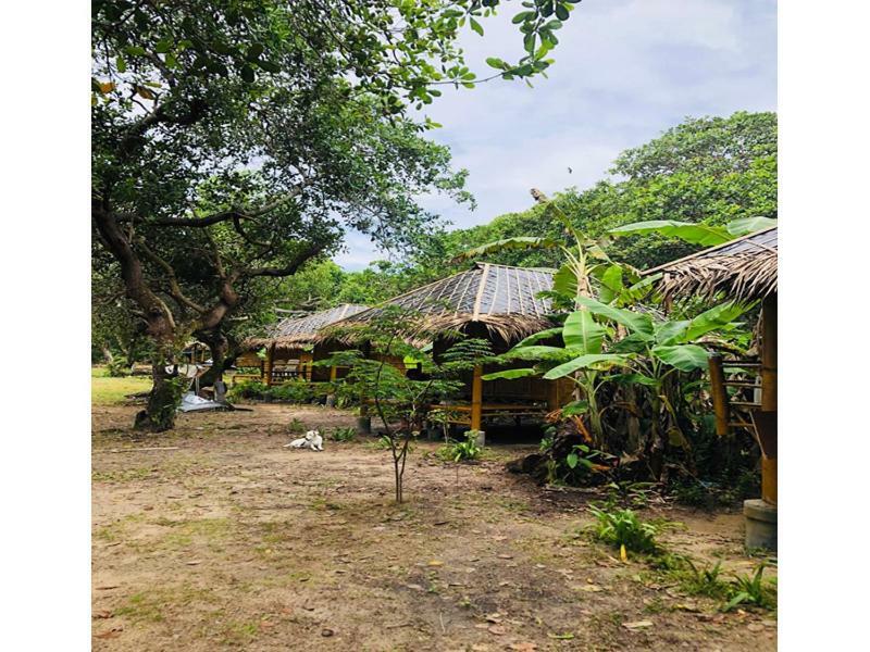 Chalee Tropicana Bungalow Koh Phayam Luaran gambar